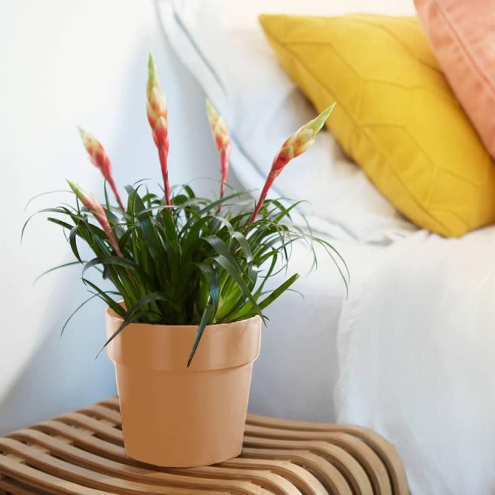 Gardebruk® Blumentopf b.for original 14x13cm Rund Übertopf Blumenkasten Pflanzentopf Pflanzkasten Kunststoff Indoor Pfirsich — Ansicht 2
